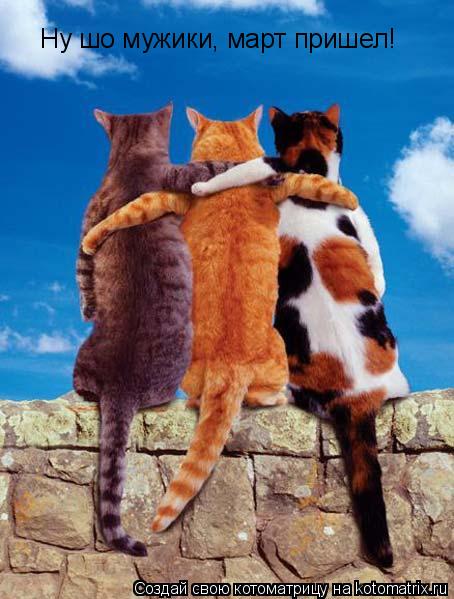 Ну шо мужики, март пришел!... Котоматрица: Ну шо мужики, март пришел!