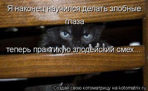 Котоматрица: Я наконец научился делать злобные  глаза теперь практикую злодейский смех...