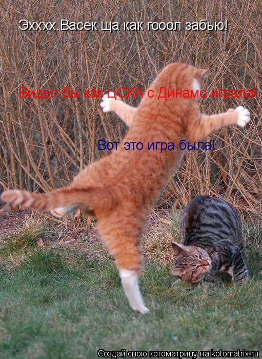 Эхххх.Васек ща как гооол забью! Видел бы как ЦСКА с Динамо играла! Вот это игра была!... Котоматрица: Эхххх.Васек ща как гооол забью! Видел бы как ЦСКА с Динамо играла! Вот это игра была!