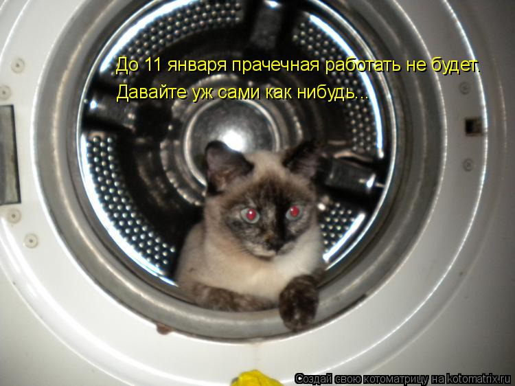 До 11 января прачечная работать не будет. Давайте уж сами как нибудь...... Котоматрица: До 11 января прачечная работать не будет. Давайте уж сами как нибудь...
