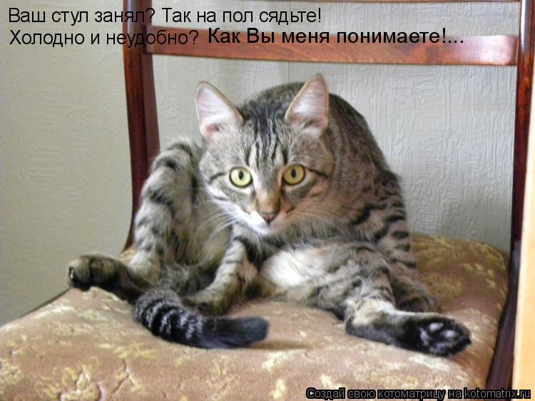 Ваш стул занял? Так на пол сядьте! Холодно и неудобно? Как Вы меня понимаете!...... Котоматрица: Ваш стул занял? Так на пол сядьте! Холодно и неудобно? Как Вы меня понимаете!...