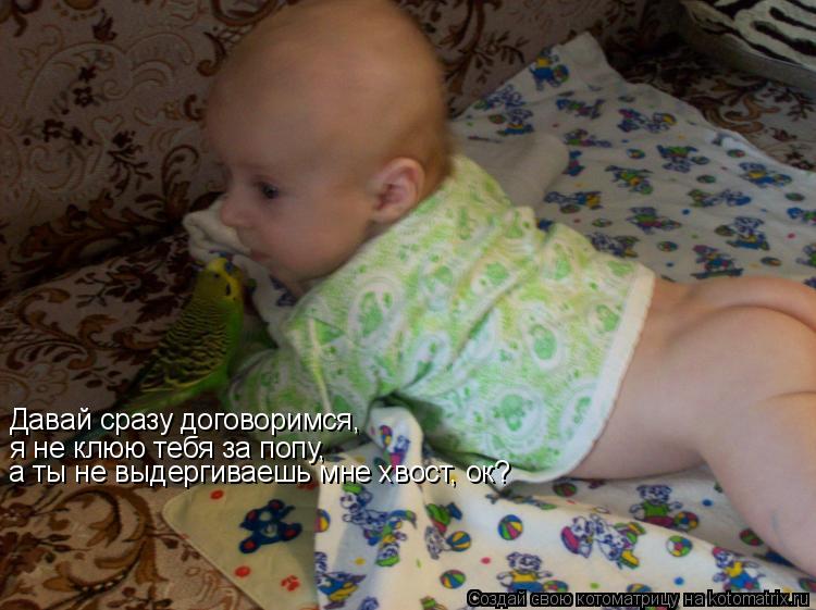 Котоматрица: Давай сразу договоримся, я не клюю тебя за попу, а ты не выдергиваешь мне хвост, ок?