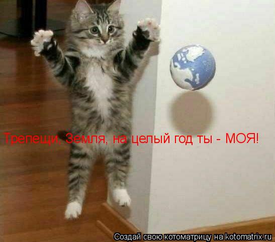 Трепещи, Земля, на целый год ты - МОЯ!... Котоматрица: Трепещи, Земля, на целый год ты - МОЯ!