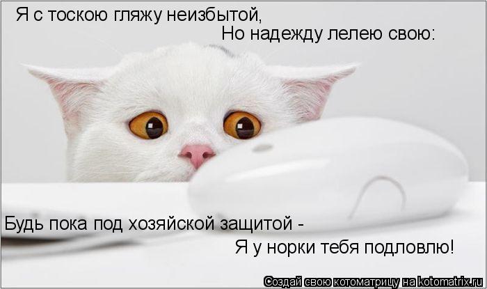 Я с тоскою гляжу неизбытой, Но надежду лелею свою: Будь пока под хозяйской защитой - Я у норки тебя ... Котоматрица: Я с тоскою гляжу неизбытой, Но надежду лелею свою: Будь пока под хозяйской защитой - Я у норки тебя подловлю!