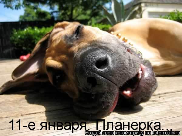 Посмеялся сам - поделись с другом!!!