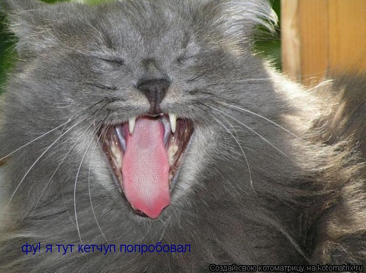 Котоматрица: фу! я тут кетчуп попробовал