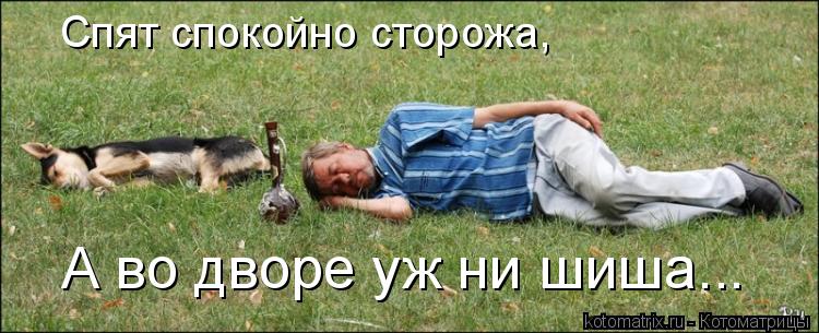 Спят спокойно сторожа, А во дворе уж ни шиша...... Котоматрица: Спят спокойно сторожа, А во дворе уж ни шиша...
