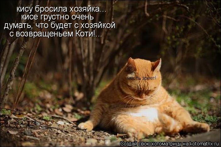 кису бросила хозяйка... кисе грустно очень думать, что будет с хозяйкой с возвращеньем Коти!... месть... Котоматрица: кису бросила хозяйка... кисе грустно очень думать, что будет с хозяйкой с возвращеньем Коти!... месть зреет!