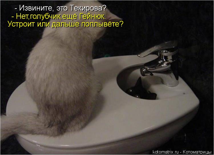 - Извините, это Текирова? - Нет,голубчик,ещё Гейнюк. Устроит или дальше поплывёте?... Котоматрица: - Извините, это Текирова? - Нет,голубчик,ещё Гейнюк. Устроит или дальше поплывёте?