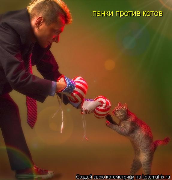 Котоматрица: панки против котов