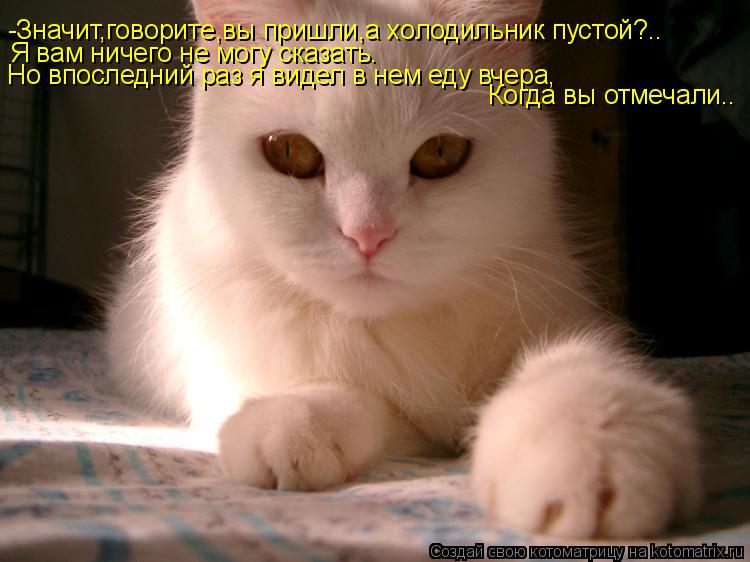 Котоматрица: -Значит,говорите,вы пришли,а холодильник пустой?.. Я вам ничего не могу сказать. Но впоследний раз я видел в нем еду вчера, Когда вы отмечали..