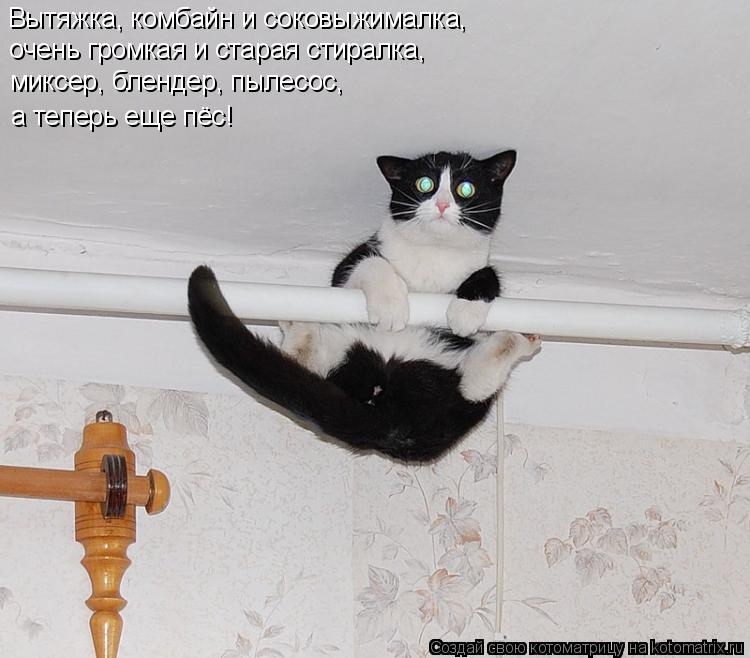 Котоматрица: Вытяжка, комбайн и соковыжималка,  очень громкая и старая стиралка,  миксер, блендер, пылесос,  а теперь еще пёс!