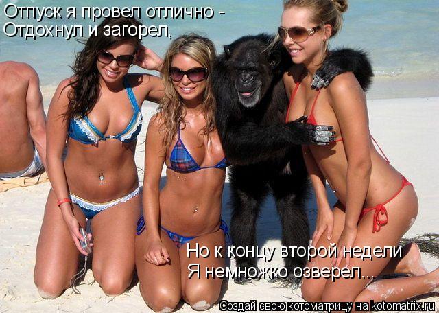Отпуск я провел отлично - Отдохнул и загорел, Но к концу второй недели Я немножко озверел...... Котоматрица: Отпуск я провел отлично - Отдохнул и загорел, Но к концу второй недели Я немножко озверел...