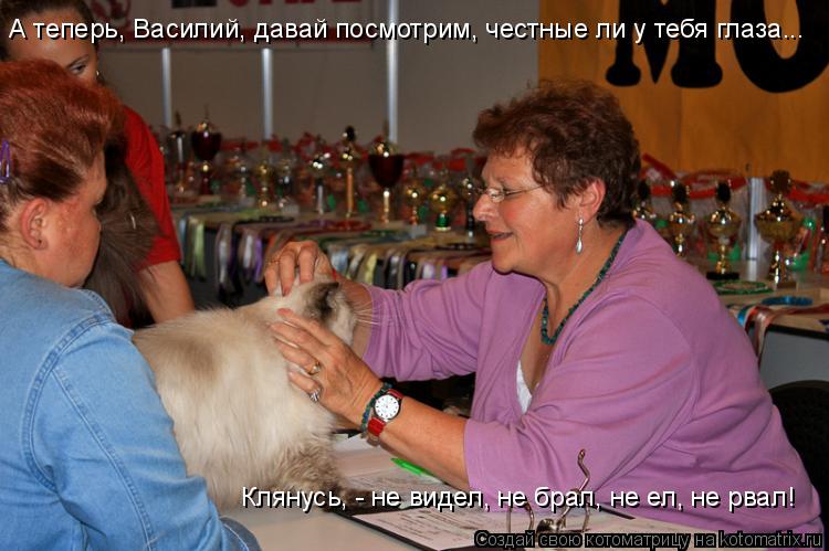А теперь, Василий, давай посмотрим, честные ли у тебя глаза... Клянусь, - не видел, не брал, не ел, н... Котоматрица: А теперь, Василий, давай посмотрим, честные ли у тебя глаза... Клянусь, - не видел, не брал, не ел, не рвал!