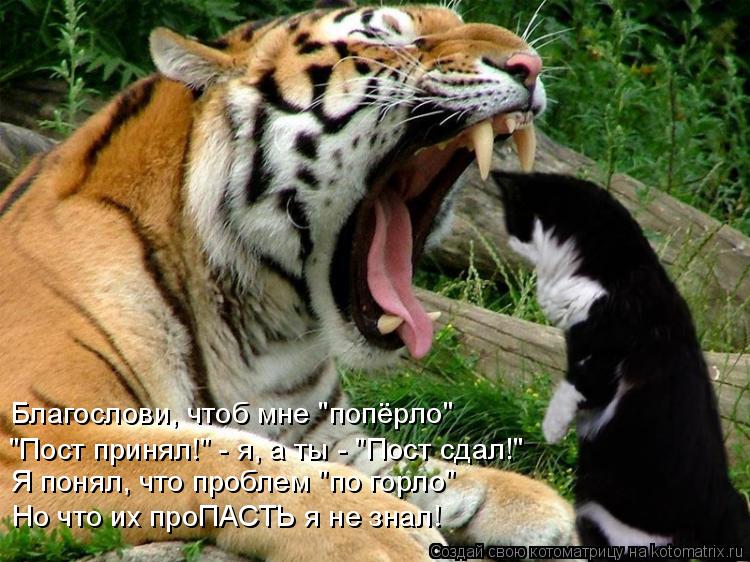 "Пост принял!" - я, а ты - "Пост сдал!" Благослови, чтоб мне "попёрло" Я понял, что проблем "по горло... Котоматрица: "Пост принял!" - я, а ты - "Пост сдал!" Благослови, чтоб мне "попёрло" Я понял, что проблем "по горло" Но что их проПАСТЬ я не знал!