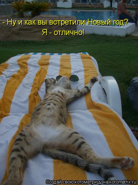 - Ну и как вы встретили Новый год? Я - отлично!... Котоматрица: - Ну и как вы встретили Новый год? Я - отлично!