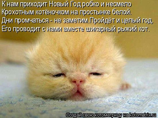 К нам приходит Новый Год робко и несмело Дни промчаться - не заметим.Пройдёт и целый год. Его проводи... Котоматрица: К нам приходит Новый Год робко и несмело Дни промчаться - не заметим.Пройдёт и целый год. Его проводит с нами вместе шикарный рыжий кот. Крох