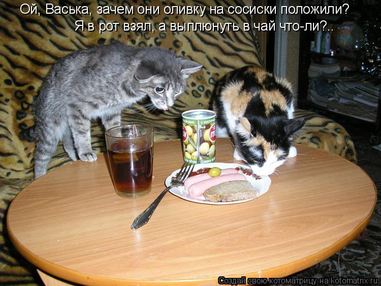 Котоматрица: Ой, Васька, зачем они оливку на сосиски положили? Я в рот взял, а выплюнуть в чай что-ли?..