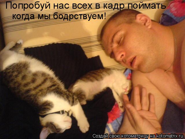 Котоматрица: Попробуй нас всех в кадр поймать  когда мы бодрствуем!
