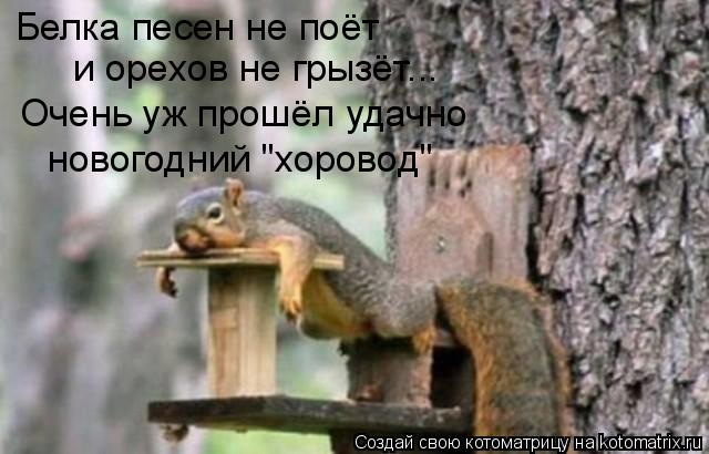 Белка песен не поёт и орехов не грызёт... Очень уж прошёл удачно новогодний "хоровод"... Котоматрица: Белка песен не поёт и орехов не грызёт... Очень уж прошёл удачно новогодний "хоровод"