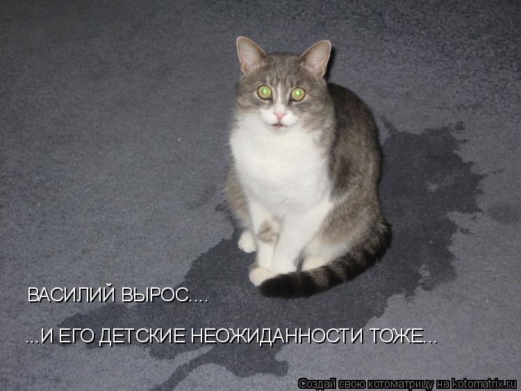 ВАСИЛИЙ ВЫРОС.... ...И ЕГО ДЕТСКИЕ НЕОЖИДАННОСТИ ТОЖЕ...... Котоматрица: ВАСИЛИЙ ВЫРОС.... ...И ЕГО ДЕТСКИЕ НЕОЖИДАННОСТИ ТОЖЕ...