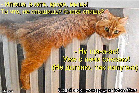 - Илюша, в хате, вроде, мышь! Ты что, не слышишь? Снова спишь? - Ну ща-а-ас! Уже с печи слезаю! (Не ... Котоматрица: - Илюша, в хате, вроде, мышь! Ты что, не слышишь? Снова спишь? - Ну ща-а-ас! Уже с печи слезаю! (Не догоню, так напугаю)