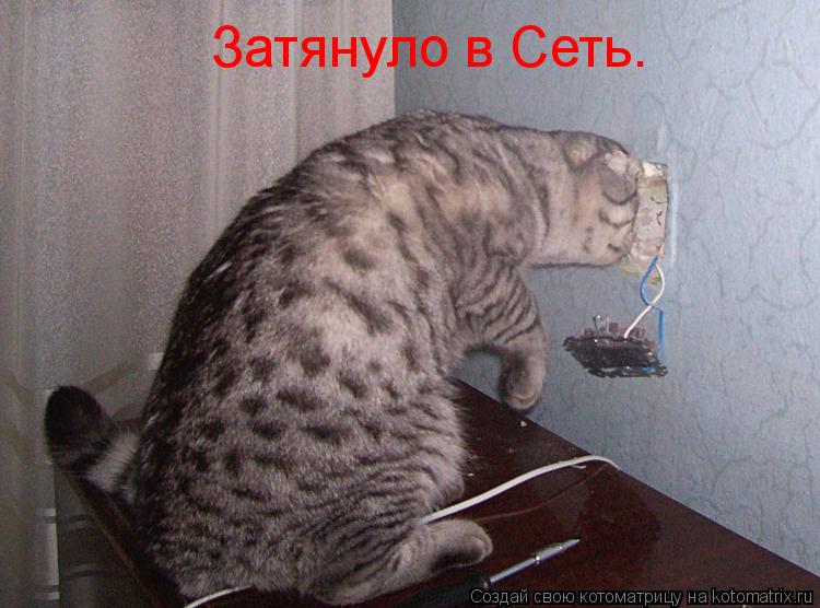 Котоматрица: Затянуло в Сеть.