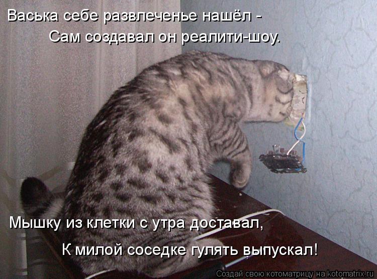 Васька себе развлеченье нашёл - Сам создавал он реалити-шоу. Мышку из клетки с утра доставал, К милой... Котоматрица: Васька себе развлеченье нашёл - Сам создавал он реалити-шоу. Мышку из клетки с утра доставал, К милой соседке гулять выпускал!