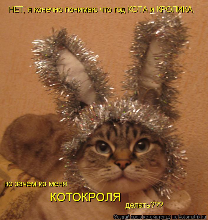 Котоматрица: НЕТ, я конечно понимаю что год КОТА и КРОЛИКА, но зачем из меня КОТОКРОЛЯ делать???