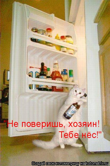 "Не поверишь, хозяин! Тебе нёс!"... Котоматрица: "Не поверишь, хозяин! Тебе нёс!"
