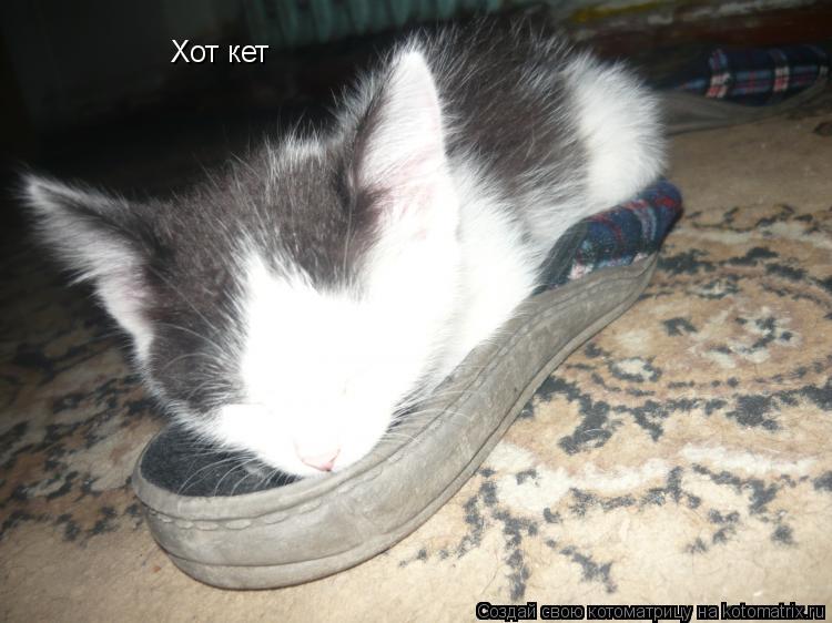 Хот кет... Котоматрица: Хот кет