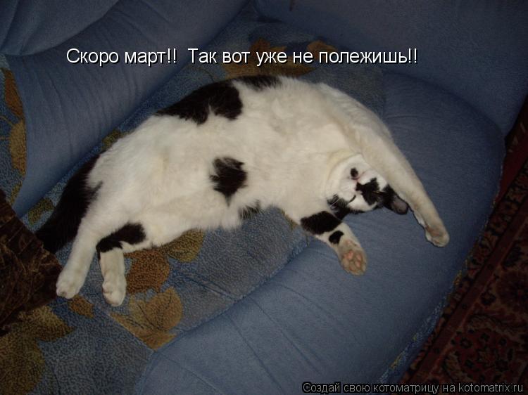 Скоро март!! Так вот уже не полежишь!!... Котоматрица: Скоро март!! Так вот уже не полежишь!!
