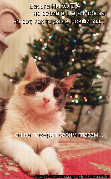 Котоматрица: Васька НИКОГДА не верил в Деда Мороза, но вот, как-то раз в Новый год... ... он не поверил своим глазам...