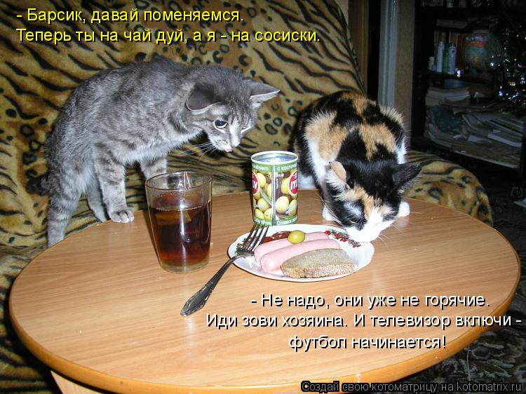 - Барсик, давай поменяемся. Теперь ты на чай дуй, а я - на сосиски. Иди зови хозяина. И телевизор вк... Котоматрица: - Барсик, давай поменяемся. Теперь ты на чай дуй, а я - на сосиски. Иди зови хозяина. И телевизор включи - футбол начинается! - Не надо, они уже н