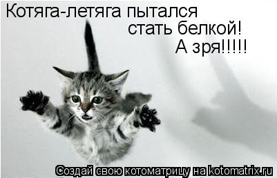 Котяга-летяга пытался стать белкой! А зря!!!!!... Котоматрица: Котяга-летяга пытался стать белкой! А зря!!!!!