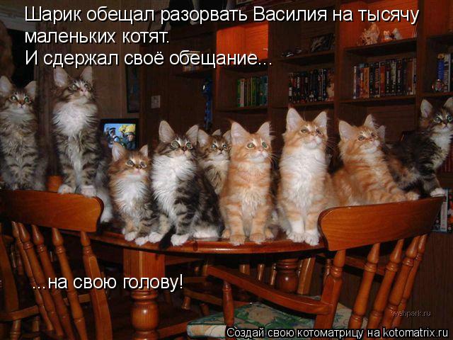 И сдержал своё обещание... ...на свою голову! Шарик обещал разорвать Василия на тысячу маленьких котя... Котоматрица: И сдержал своё обещание... ...на свою голову! Шарик обещал разорвать Василия на тысячу маленьких котят.