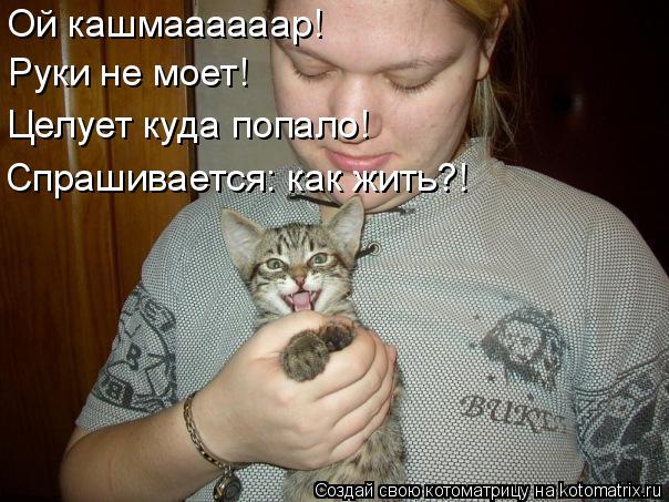 Ой кашмаааааар! Руки не моет! Спрашивается: как жить?! Целует куда попало!... Котоматрица: Ой кашмаааааар! Руки не моет! Спрашивается: как жить?! Целует куда попало!