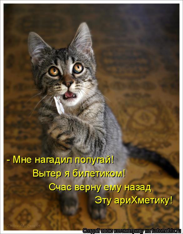 Вытер я билетиком! - Мне нагадил попугай! Счас верну ему назад Эту ариХметику!... Котоматрица: Вытер я билетиком! - Мне нагадил попугай! Счас верну ему назад Эту ариХметику!