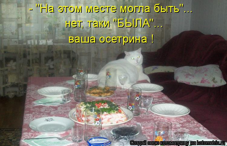 Котоматрица: - "На этом месте могла быть"... нет, таки "БЫЛА"... ваша осетрина !