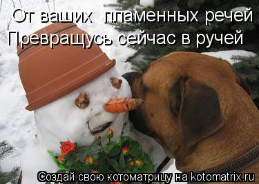 От ваших пламенных речей Превращусь сейчас в ручей... Котоматрица: От ваших пламенных речей Превращусь сейчас в ручей