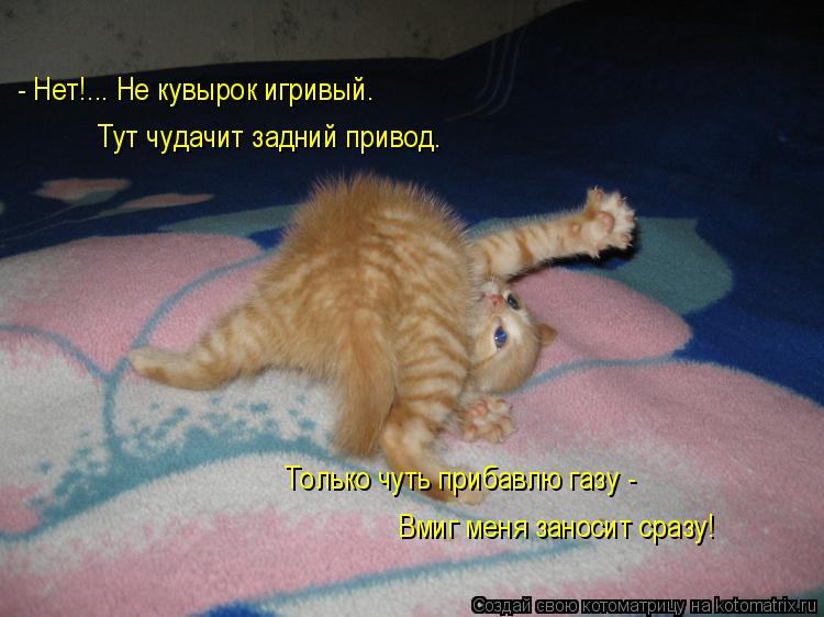 Котоматрица: - Нет!... Не кувырок игривый. Тут чудачит задний привод. Только чуть прибавлю газу - Вмиг меня заносит сразу!