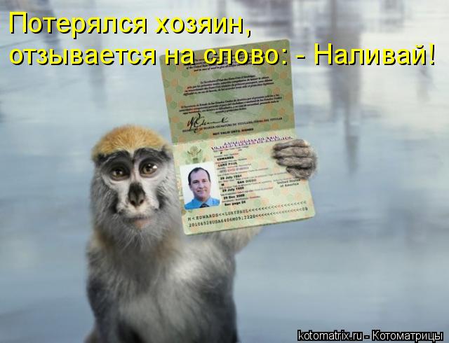 Потерялся хозяин, отзывается на слово: - Наливай!... Котоматрица: Потерялся хозяин, отзывается на слово: - Наливай!