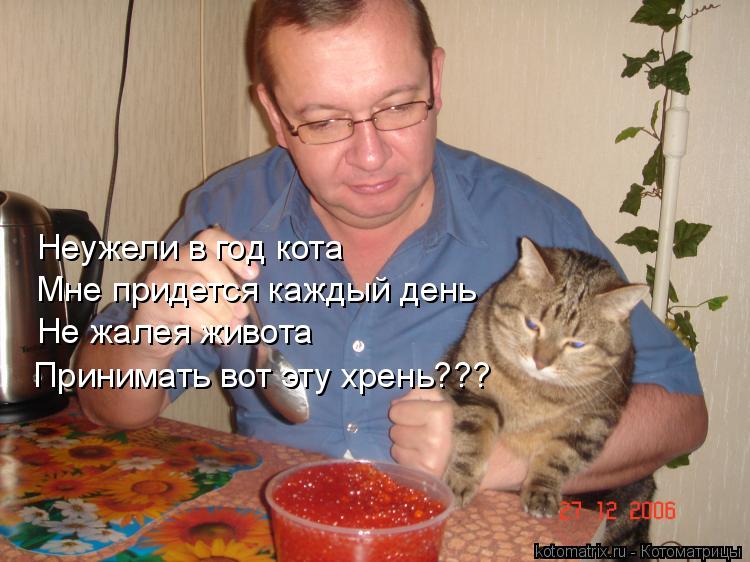 Неужели в год кота Мне придется каждый день Не жалея живота Принимать вот эту хрень???... Котоматрица: Неужели в год кота Мне придется каждый день Не жалея живота Принимать вот эту хрень???