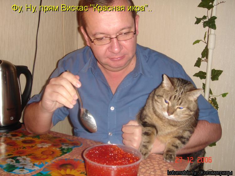 Фу, Ну, прям Вискас "Красная икра"..... Котоматрица: Фу, Ну, прям Вискас "Красная икра"..