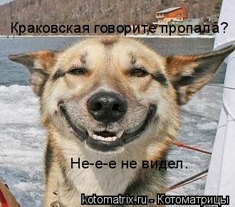 Котоматрица: Краковская говорите пропала? Не-е-е не видел.