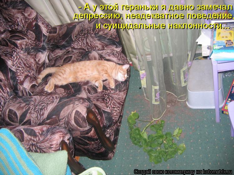 - А у этой гераньки я давно замечал депрессию, неадекватное поведение, и суицидальные наклонности...... Котоматрица: - А у этой гераньки я давно замечал депрессию, неадекватное поведение, и суицидальные наклонности...