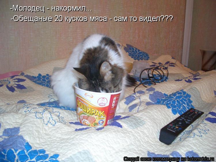 -Молодец - накормил... -Обещаные 20 кусков мяса - сам то видел???... Котоматрица: -Молодец - накормил... -Обещаные 20 кусков мяса - сам то видел???