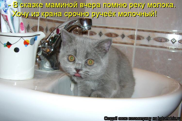 Хочу из крана срочно ручеёк молочный! - В сказке маминой вчера помню реку молока.... Котоматрица: Хочу из крана срочно ручеёк молочный! - В сказке маминой вчера помню реку молока.