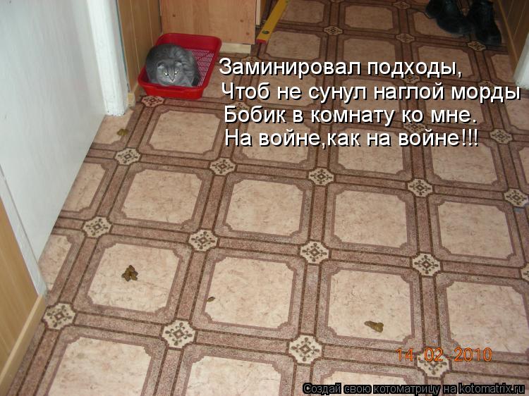 Чтоб не сунул наглой морды Заминировал подходы, Бобик в комнату ко мне. На войне,как на войне!!!... Котоматрица: Чтоб не сунул наглой морды Заминировал подходы, Бобик в комнату ко мне. На войне,как на войне!!!