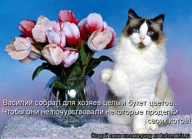Котоматрица: Василий собрал для хозяев целый букет цветов... Чтобы они не почувствовали некоторые проделки  своих котов!
